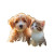 Puppy And Kitten Play V2 Vinyl Car Decal Sticker – Waterproof & UV-Resistant 3.4133333333333336"