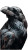 Expressive Raven Painting Vinyl Car Decal Sticker – Waterproof & UV-Resistant 4.8533333333333335"