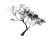 Tree V16 Vinyl Car Decal Sticker – Waterproof & UV-Resistant 3.4133333333333336"