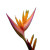 Vibrant Heliconia Flower Vinyl Car Decal Sticker – Waterproof & UV-Resistant 6.826666666666667"
