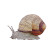 Snail'S Gentle Path Vinyl Car Decal Sticker – Waterproof & UV-Resistant 6.826666666666667"