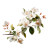 Floral Branch Vinyl Car Decal Sticker – Waterproof & UV-Resistant 3.4133333333333336"