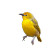 Yellow Bird V2 Vinyl Car Decal Sticker – Waterproof & UV-Resistant 3.4133333333333336"