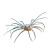 Strange Sea Creature V2 Vinyl Car Decal Sticker – Waterproof & UV-Resistant 6.826666666666667"