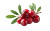 Fresh Cranberries Pile Vinyl Car Decal Sticker – Waterproof & UV-Resistant 2.8