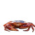 Patriotic Crab Vinyl Car Decal Sticker – Waterproof & UV-Resistant 3.4133333333333336"