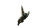 Graceful Gibbon Swing Vinyl Car Decal Sticker – Waterproof & UV-Resistant 5.4