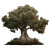 Endless Root Tree Vinyl Car Decal Sticker – Waterproof & UV-Resistant 3.4133333333333336"