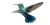 Hummingbird Vinyl Car Decal Sticker – Waterproof & UV-Resistant 5.12"