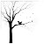 Oak Tree Silhouette V3 Vinyl Car Decal Sticker – Waterproof & UV-Resistant 3.4133333333333336"