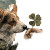 Four-Leaf Clover Hand Vinyl Car Decal Sticker – Waterproof & UV-Resistant 3.4133333333333336"