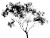 Young Eucalyptus Silhouette Vinyl Car Decal Sticker – Waterproof & UV-Resistant 6.1866666666666665"