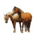 Brown Horses Side Vinyl Car Decal Sticker – Waterproof & UV-Resistant 3.4133333333333336"