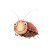 Smiling Cockroach Vinyl Car Decal Sticker – Waterproof & UV-Resistant 3.4133333333333336"