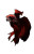 Red Betta Fish Vinyl Car Decal Sticker – Waterproof & UV-Resistant 9.066666666666666"
