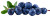Bilberry Vinyl Car Decal Sticker – Waterproof & UV-Resistant 4.266666666666667"