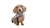 Dachshund Puppy Scarf Vinyl Car Decal Sticker – Waterproof & UV-Resistant 2.72"