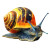 Vibrant Shell Snail Vinyl Car Decal Sticker – Waterproof & UV-Resistant 3.4133333333333336"