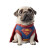 Super Pug Vinyl Car Decal Sticker – Waterproof & UV-Resistant 6.826666666666667"