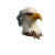 Bald Eagle Art V3 Vinyl Car Decal Sticker – Waterproof & UV-Resistant 6.826666666666667"