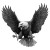Screaming Bald Eagle V2 Vinyl Car Decal Sticker – Waterproof & UV-Resistant 3.4133333333333336"
