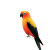 Cute Parrot Art Vinyl Car Decal Sticker – Waterproof & UV-Resistant 3.4133333333333336"