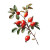 Rosehip Branch Vinyl Car Decal Sticker – Waterproof & UV-Resistant 3.4133333333333336"