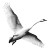 Elegant Flying Swan Vinyl Car Decal Sticker – Waterproof & UV-Resistant 3.4133333333333336"