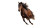 Elegant Running Horses V3 Vinyl Car Decal Sticker – Waterproof & UV-Resistant 5.4