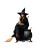 Beautiful Witch V13 Vinyl Car Decal Sticker – Waterproof & UV-Resistant 4.213333333333333"