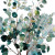 Eucalyptus Branches V3 Vinyl Car Decal Sticker – Waterproof & UV-Resistant 3.4133333333333336"