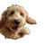 Dunking Dog Vinyl Car Decal Sticker – Waterproof & UV-Resistant 6.826666666666667"
