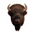 Bison Head V2 Vinyl Car Decal Sticker – Waterproof & UV-Resistant 6.826666666666667"
