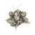 Moth Girl Sketch Vinyl Car Decal Sticker – Waterproof & UV-Resistant 3.4133333333333336"