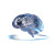 Electric Brain Render Vinyl Car Decal Sticker – Waterproof & UV-Resistant 6.826666666666667"