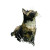 Tortoiseshell Queen Vinyl Car Decal Sticker – Waterproof & UV-Resistant 3.4133333333333336"