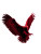 Soaring Eagle V9 Vinyl Car Decal Sticker – Waterproof & UV-Resistant 8.213333333333333"