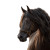 Champion Arabian Horse Vinyl Car Decal Sticker – Waterproof & UV-Resistant 6.826666666666667"