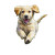 Playful Golden Retriever V11 Vinyl Car Decal Sticker – Waterproof & UV-Resistant 3.4133333333333336"