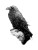 Gothic Raven Skull Vinyl Car Decal Sticker – Waterproof & UV-Resistant 8.213333333333333"