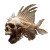 Human Skull Fish Vinyl Car Decal Sticker – Waterproof & UV-Resistant 3.4133333333333336"