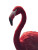 Wine Flamingo Stroll Vinyl Car Decal Sticker – Waterproof & UV-Resistant 8.213333333333333"