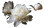 White Peonies Painting Vinyl Car Decal Sticker – Waterproof & UV-Resistant 2.72"