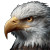 Bald Eagle Close-Up V2 Vinyl Car Decal Sticker – Waterproof & UV-Resistant 3.4133333333333336"