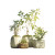 Growing Plants Vinyl Car Decal Sticker – Waterproof & UV-Resistant 3.4133333333333336"