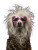 Punk Dog Vinyl Car Decal Sticker – Waterproof & UV-Resistant 4.1066666666666665"