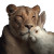 Lion And Rabbit Vinyl Car Decal Sticker – Waterproof & UV-Resistant 3.4133333333333336"