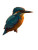 Kingfisher Perching Vinyl Car Decal Sticker – Waterproof & UV-Resistant 8.213333333333333"
