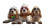 Playful Spaniel Puppies Vinyl Car Decal Sticker – Waterproof & UV-Resistant 2.72"