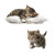 Sleeping And Running Kitten Vinyl Car Decal Sticker – Waterproof & UV-Resistant 3.4133333333333336"